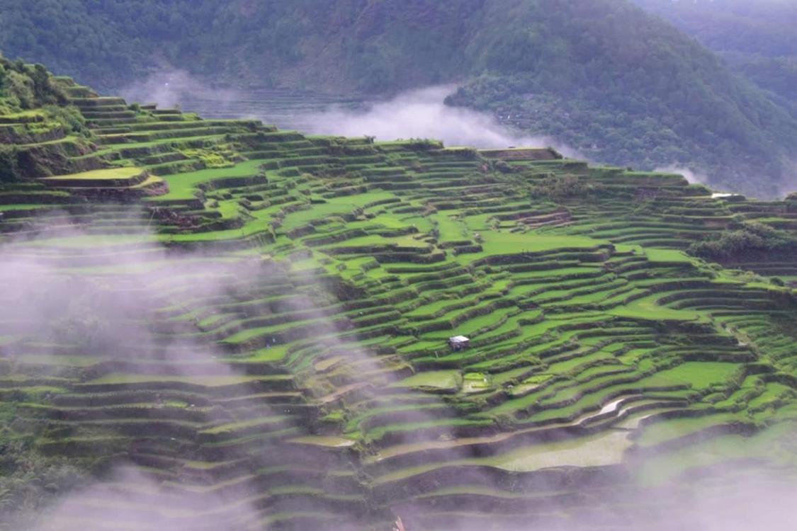 Vilma'S Homestay Bontoc  Exterior foto